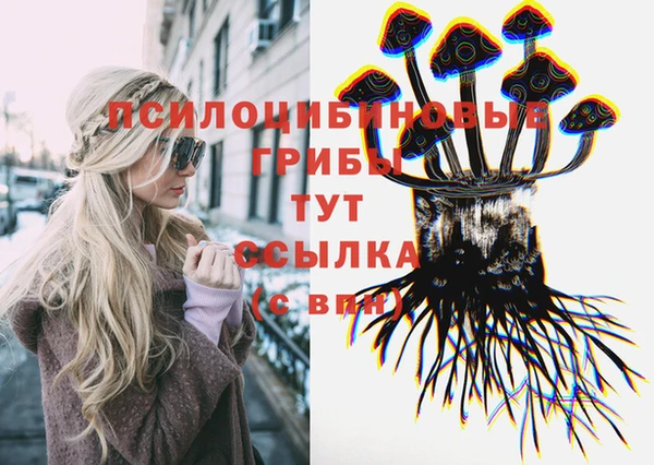 дурь Абинск