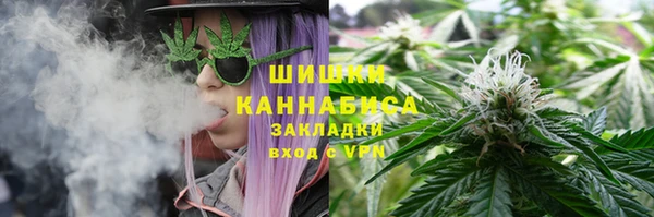 индика Липки