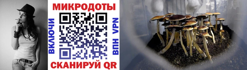 Псилоцибиновые грибы прущие грибы Балаково